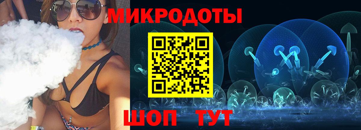 Галлюциногенные грибы Psilocybe Шарыпово