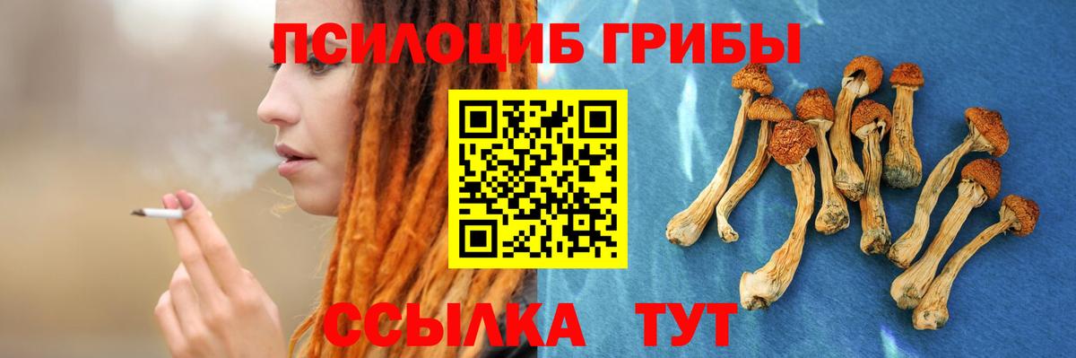 Галлюциногенные грибы мицелий  Вход с VPN  Шарыпово  Псилоцибиновые грибы GOLDEN TEACHER 